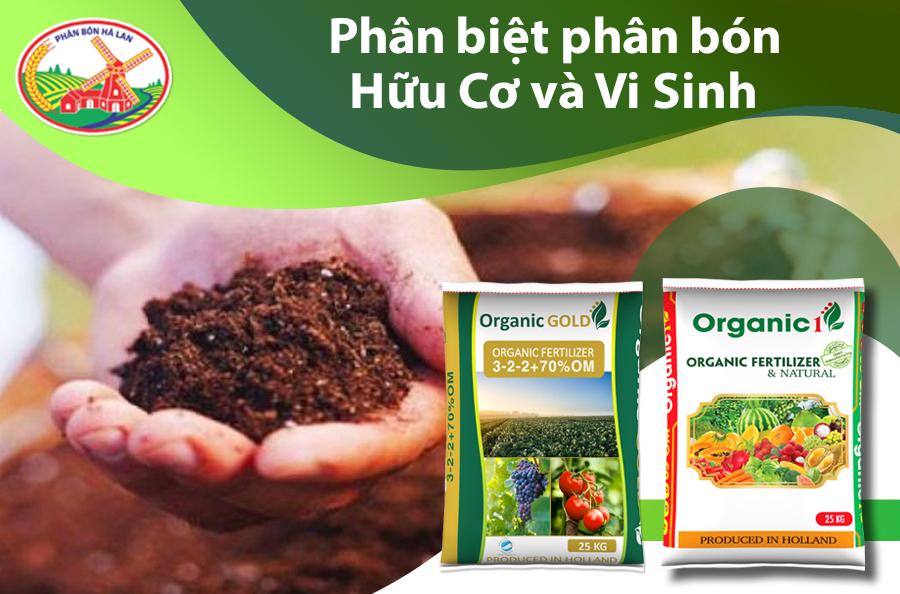 Quy trình cải tạo đất trồng cây ăn trái